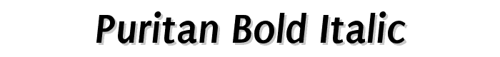 Puritan Bold Italic font